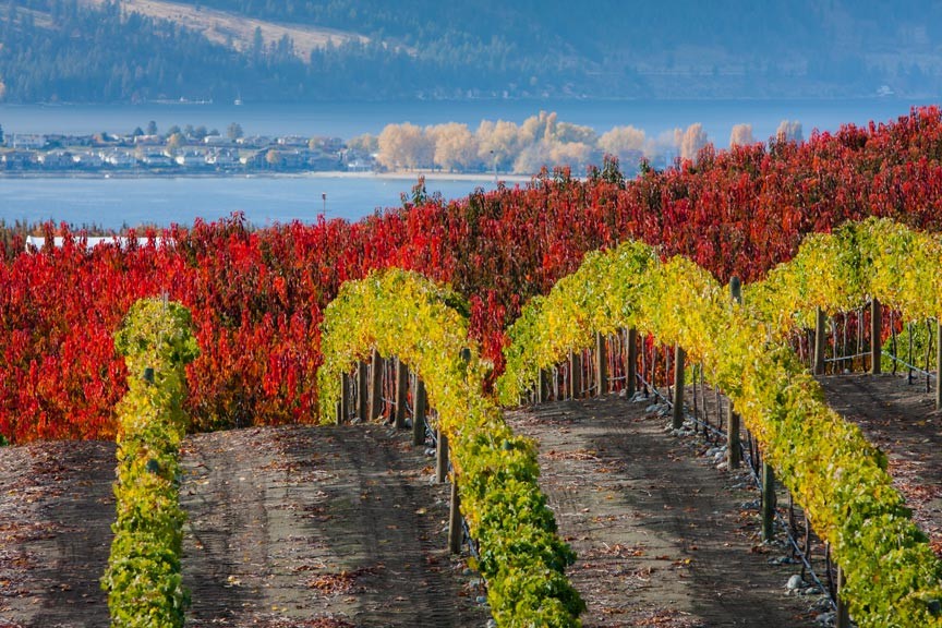 Lake chelan wineries best sale