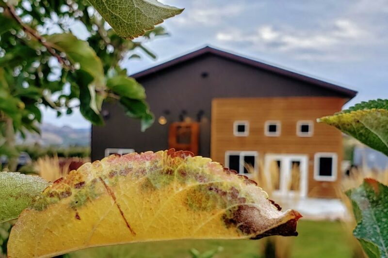 Visit Rootwood Cider Craft Cidery in Manson, WA