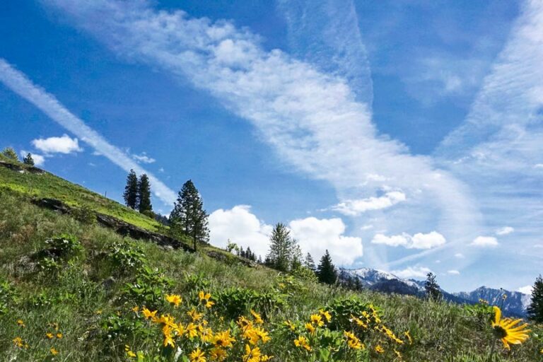 How's The Weather at Lake Chelan? What To Expect