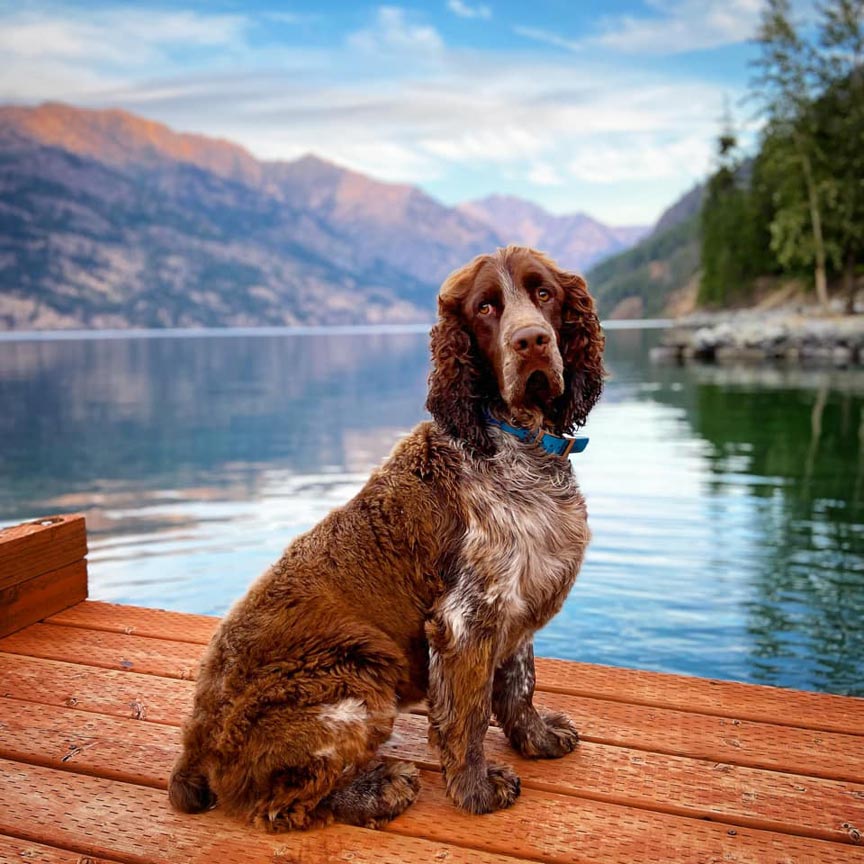 Dog friendly Lake Chelan vacations